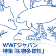 WWFジャパン 特集「生物多様性」 / HTML Javascript jquery FLASH モーションデザイン UI UX デザイン