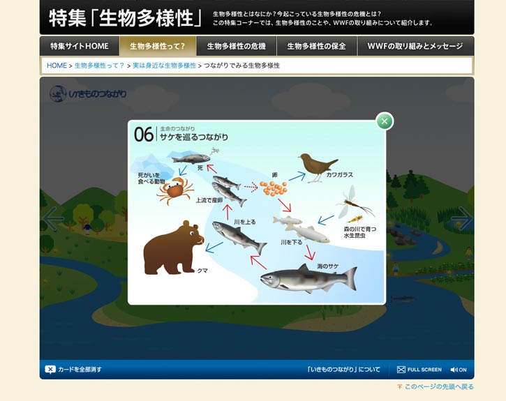 WWFジャパン 特集「生物多様性」生物のつながりの説明図（食物連鎖）